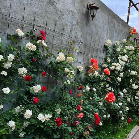 Hillside Guest House Erevan Exterior foto